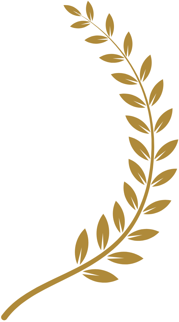 Guarantee Branch Right 2